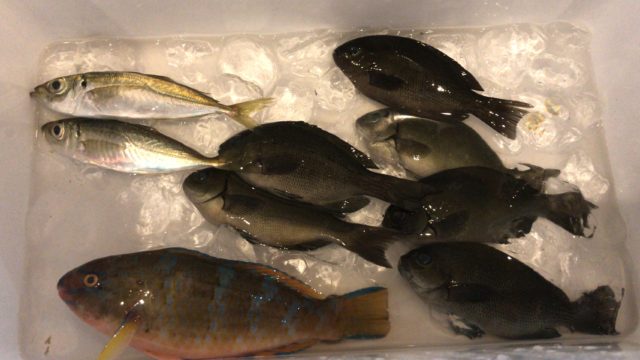 db0a106a-6f1a-4a0f-982a-b505d1f41653