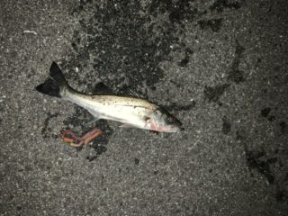 39CA788E-A2DC-41BC-ACC5-E1AE9FE04E3C