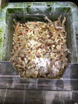 68B6823D-83D2-4579-88CF-4C4864B666DB