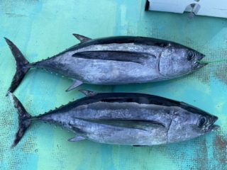 BE73F925-121F-4CB7-BAEC-4F7424C4F3F3