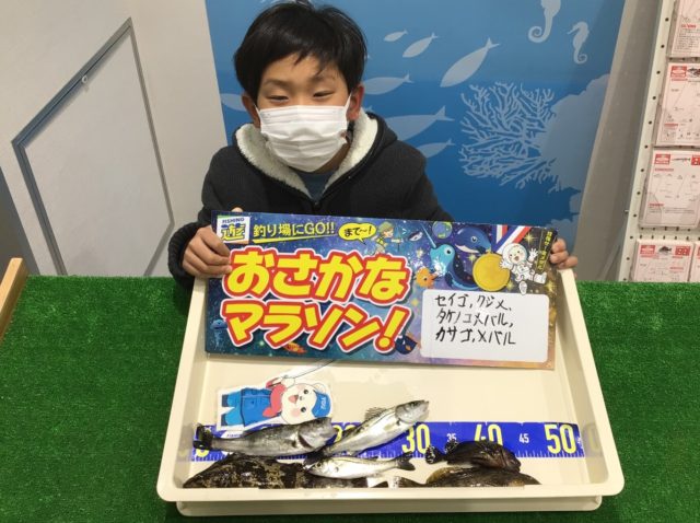 D14mPaO6CJwnaX5OvLc5v0xe1jHRej2ivnsZI5fAnJ_g1aW4KO6BAu3kBlejfgNFckwnQtXxEWQ5CFylcitkNoMafyiWYzmZYAFMI75CPi_qr9ohkvsm-KT9leEgvTz9