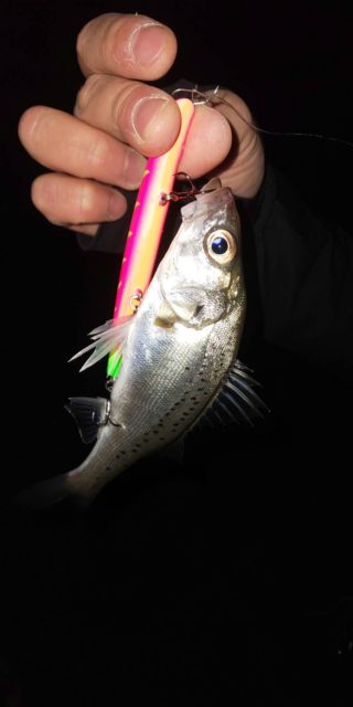 1A7D12F4-4202-455E-B81F-BECEE94D44BC