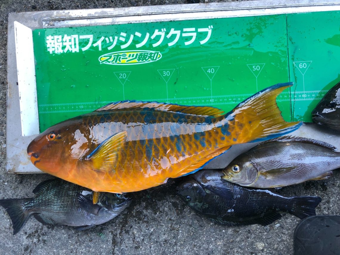 2RtbjmqEBzFfBFeB2ClgEolfVWHIJlh-R4_5vnV3vIt5q5hw-wTftAHjRUVIej_8gnHAONeHhJ7fVWlta5QYg4Ps_hvhsRm-RYA4Fyw_Ppqw17cSLVeoDAWPIxYhlGfv