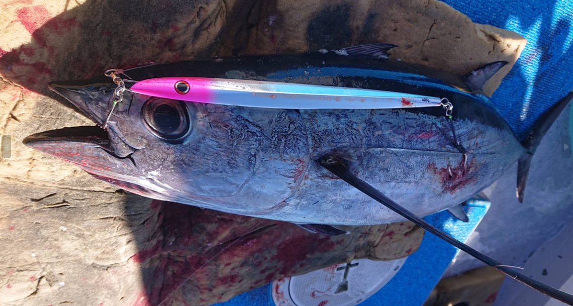 スクリーンショット 2023-02-28 123415