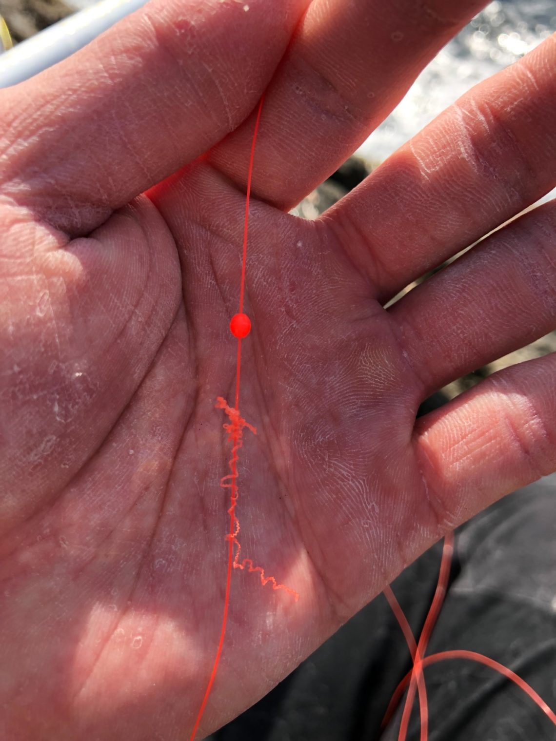 69KY-sL9HTBkN70xTRxlI3EC_TnuUkGpUsxJMrREt-G0_-IqKhN8MW88XNHWjUPg73-2K1KmloX1eog_NKGbzWjgJWY-U9yny2c4chiqJ2tlJpkqom_h3Y2HNNwsbynz