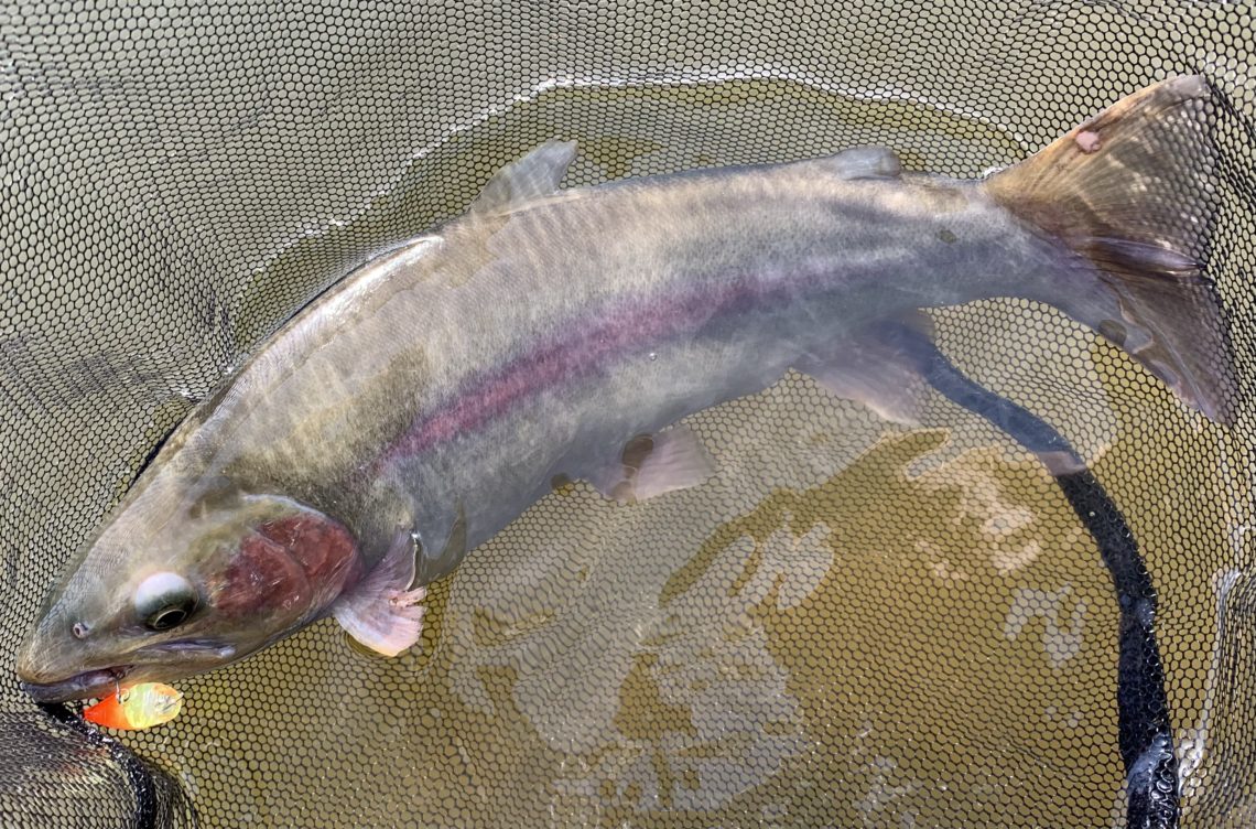 6B45C375-43B2-48F2-8D69-132B033C2DC1