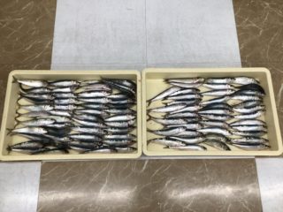 DCB61704-F70D-43B4-94DC-44AA252BD20A