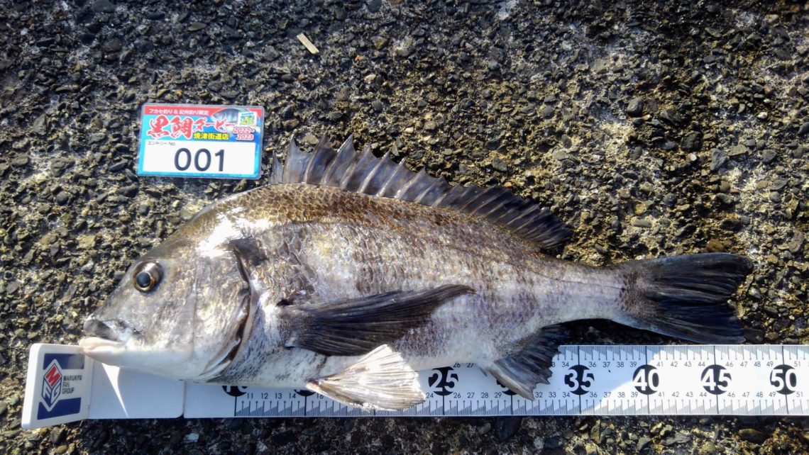 line_oa_chat_230213_102343