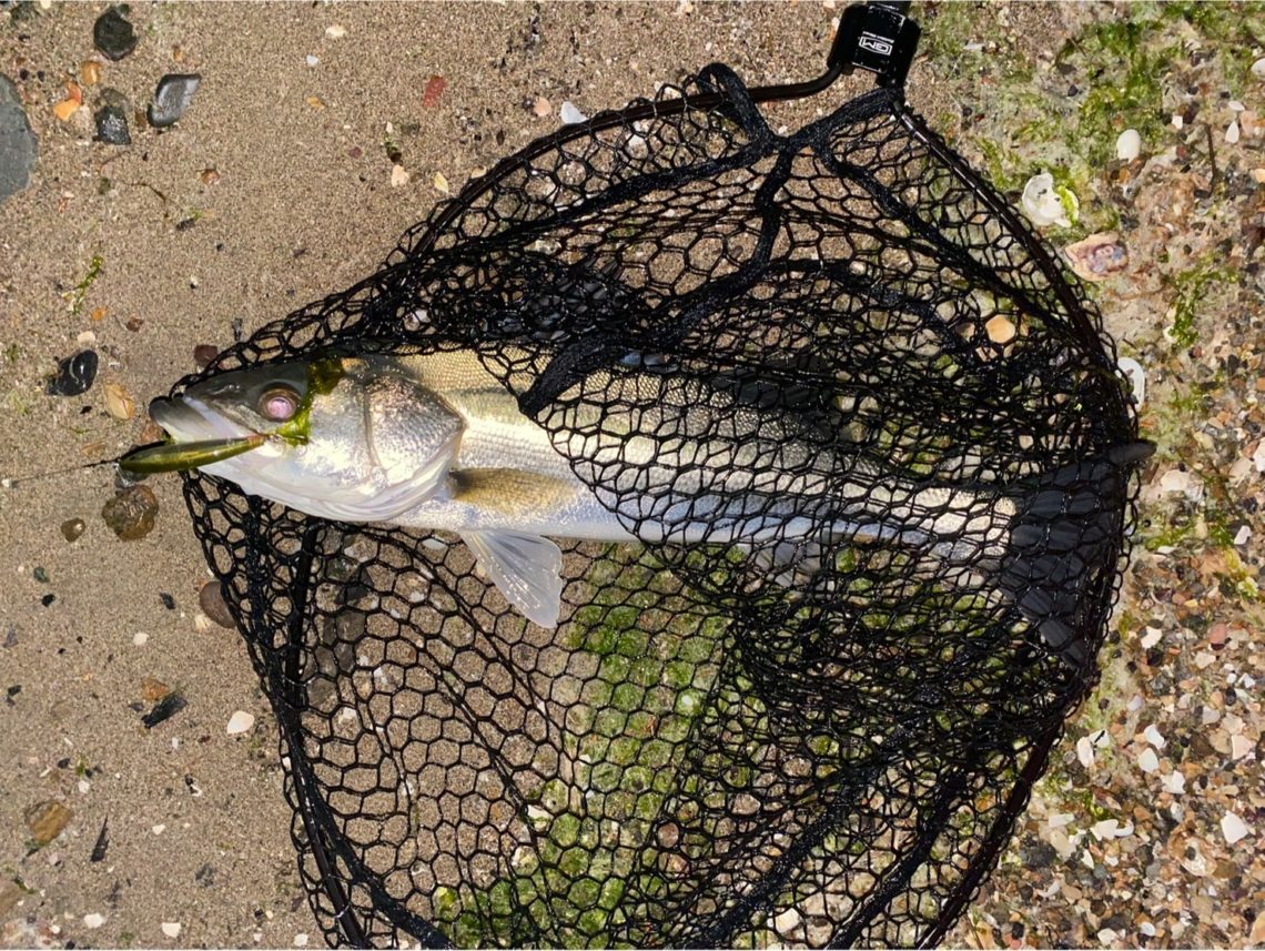 0B3D801D-5293-4F06-9FB4-42ACEA816179