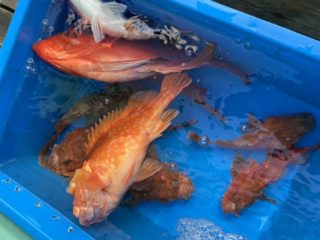 543C58B3-3115-4F55-9728-508DC3CC831F