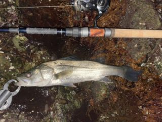 5AE3A1A0-AD0C-4DC1-AC44-06F9AA0FC1F3