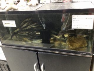 5D9D074A-1224-4A1A-B56F-2726E86CE415