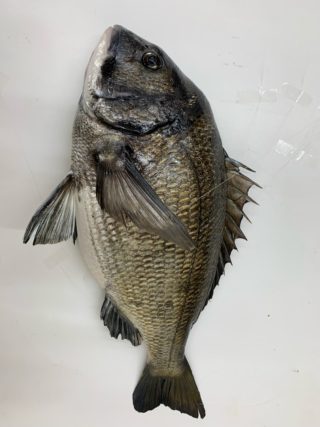 6DBAEF2F-C370-4F9D-B96C-2D7DB9713FA1