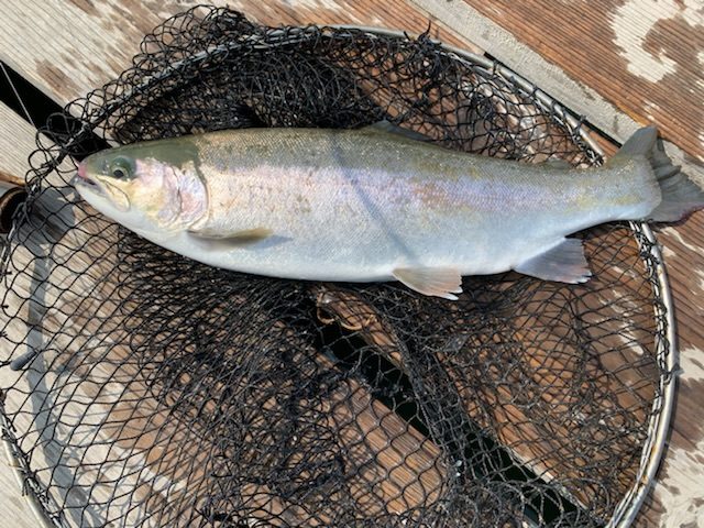 A719A27B-46A1-4559-AF02-24E2FBFDC792