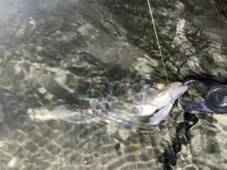 g1NXrLL6QFtLAcka58r2cSsXyriGxwHxHAxn3NBg1uHHVxwb36N7adXe3BELvOmAkii0XwZlmm1ZXxf936HkOZWz83z-lxJ6HtLOQNqq5k33X_xGKzbvLApe-YeMVA1d