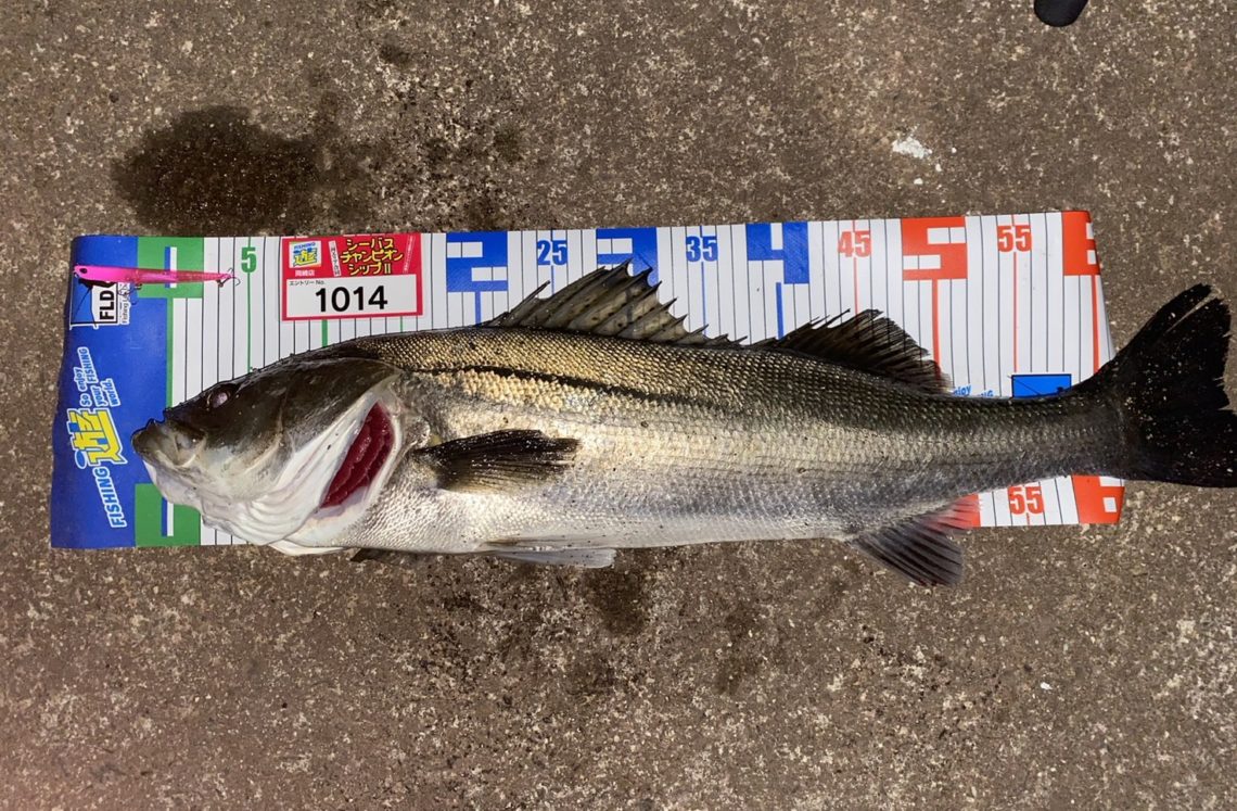 hSsD8NYG8sSqFr-ffpthrHINYE64kU5FDFnu1UD9unILbDWuKKuRSzGRxIkk7473V5H-1odpmvJEPcyrZwUDmEb8arKkUaDX7oQ8eeK5iAqaLH5P3dz_jWcToKWOJU9Q