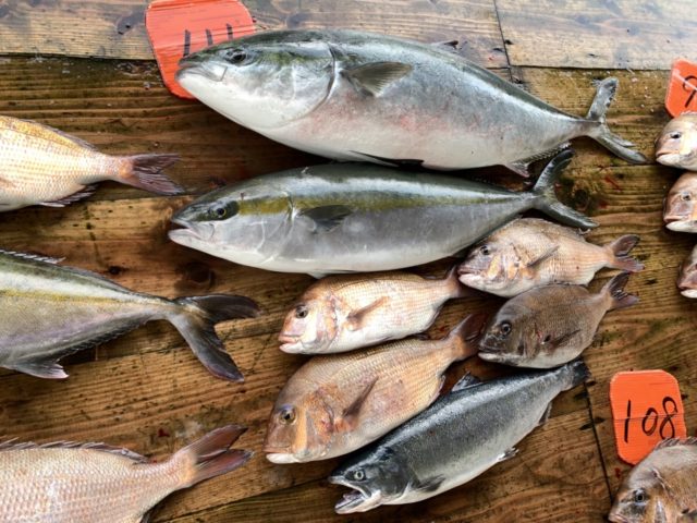 13260C99-46C8-4302-8A27-FCB915CC505D