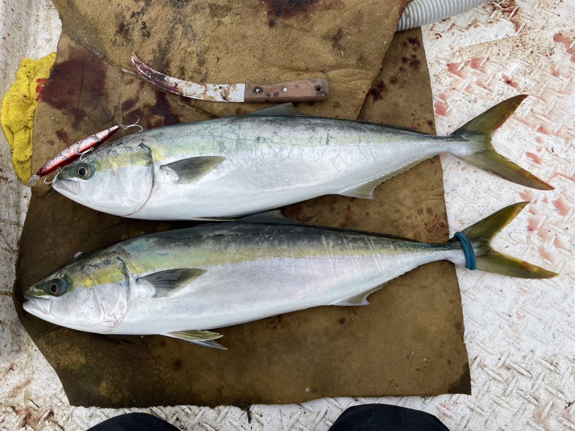 147B6E80-BBBB-47BA-A9BE-5FB194688192