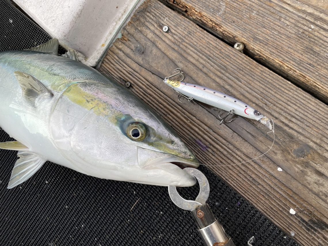 3813E22A-F822-4B45-A9A1-4B1A5E1AB0F2