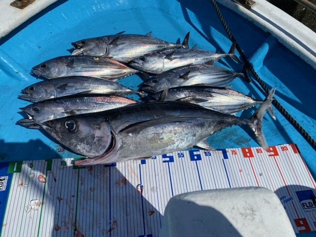 4C0EA63F-7F48-4313-9FD3-20A43D6AE550