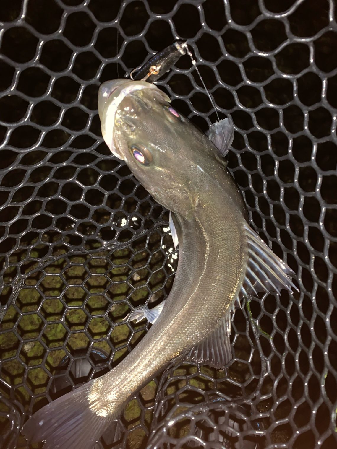 6EDEB673-BD22-48AF-A08D-6B24FA3CBFE1