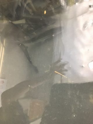 75A9B9D7-C802-4C13-B8DE-05AC470126C4