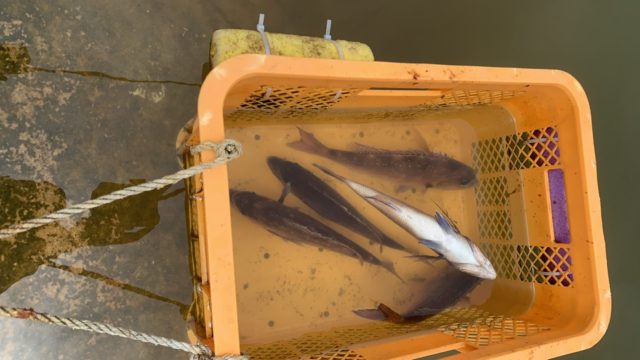 8D04949C-ABCD-4AE7-A3A7-49E69E3047B5