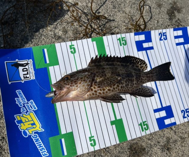 8D689A32-9796-4C88-82E6-025DB3506F9A