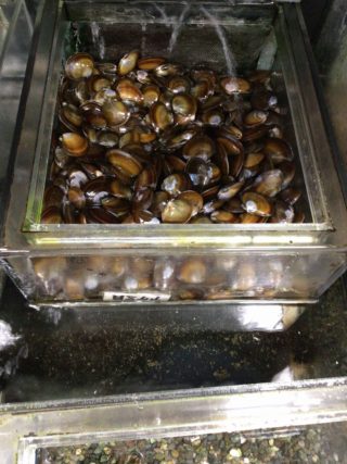 AC42AE06-A085-4814-B095-B1F12CA5E36B