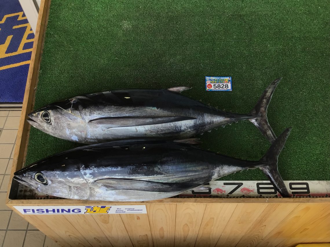 AC5AA3CB-1009-4A50-B1A2-05F8FF181457