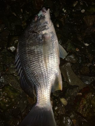 AEA57138-7CF3-4482-BF10-F9CC35B7E6AE