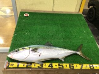 E02C9048-D890-4452-A06A-C9EA72E8C181