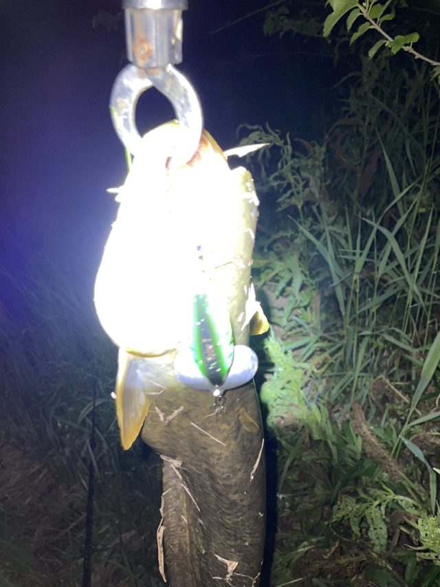 E9E53771-6312-40A4-BC38-FA9EB54CB3B9