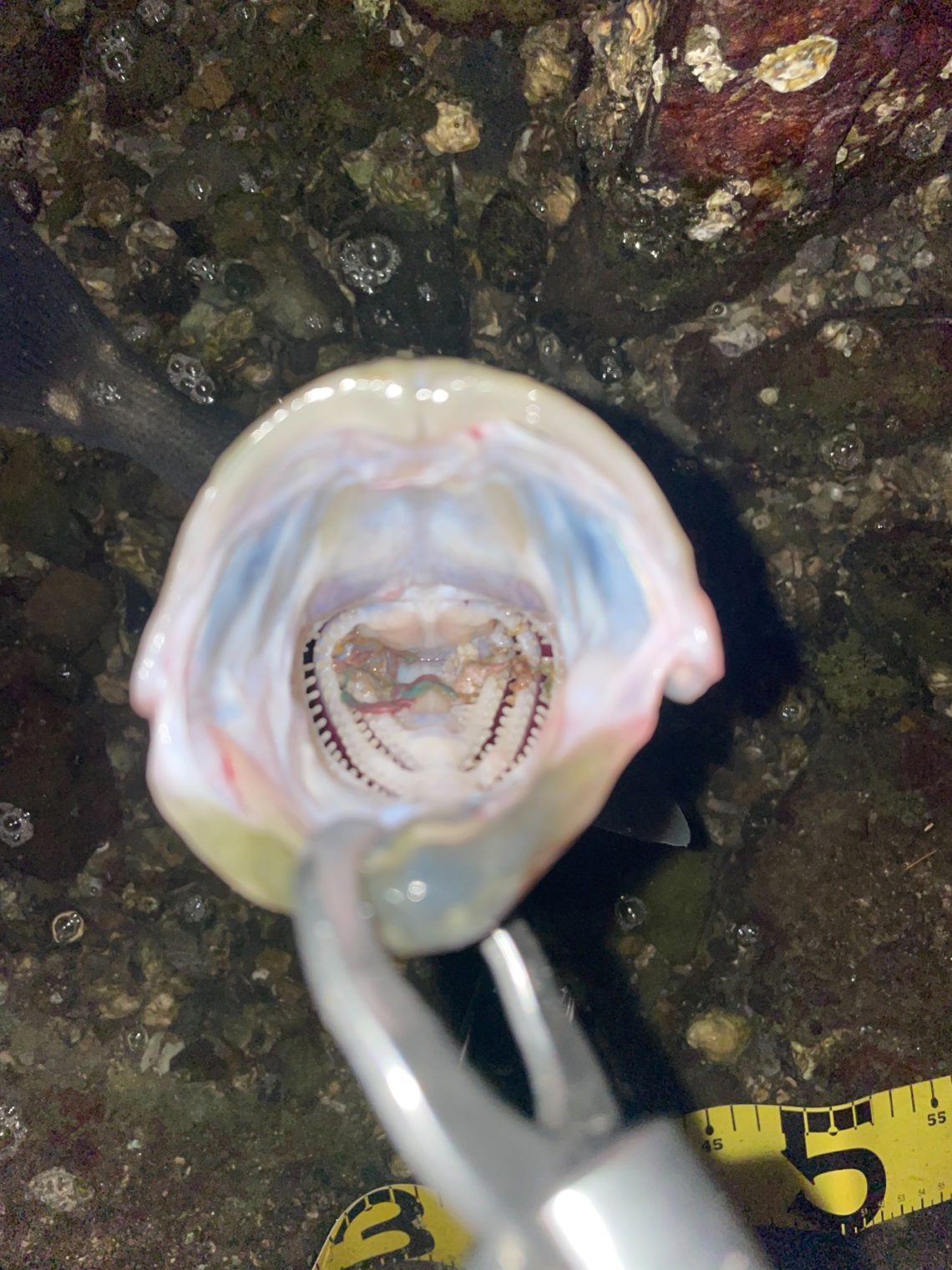 _Fj7wQ2O_5SALB9gcE6iqfHxvYj8WLY4-T5BFgfJbgSz1cU1K30fQMDdUXzj_VeJ3125_A2LkYQAPN5xDeoMnRonHKdNeStW7MNj-ZB1I15t45XCMQBGTDMOHpJESVdT