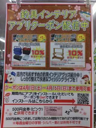 KIMG4958_copy_1699x2265