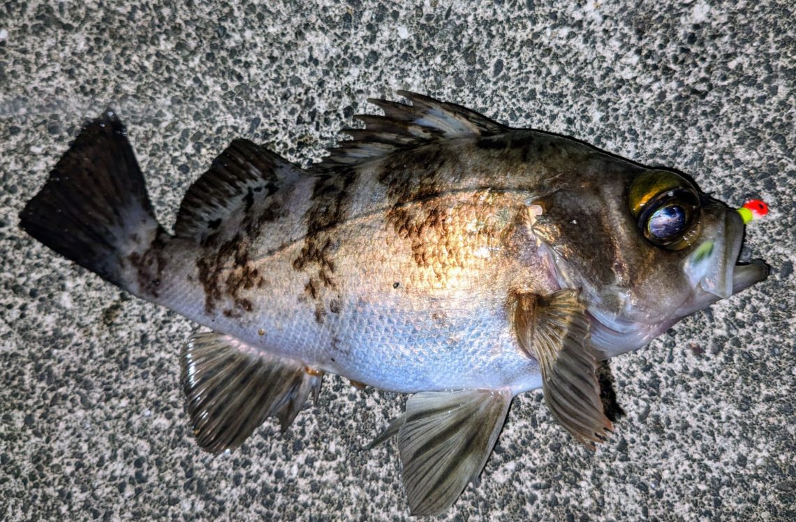 PXL_20230412_144438155