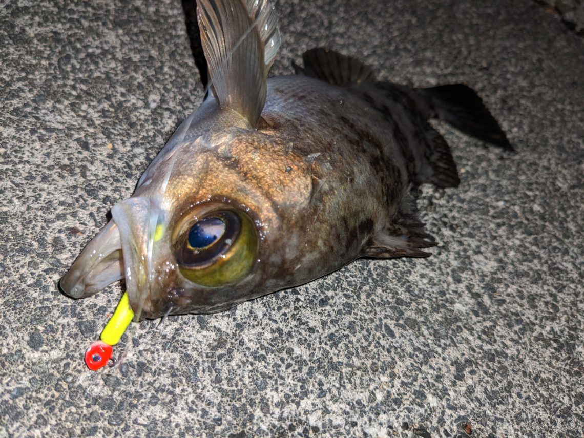 PXL_20230412_144442936