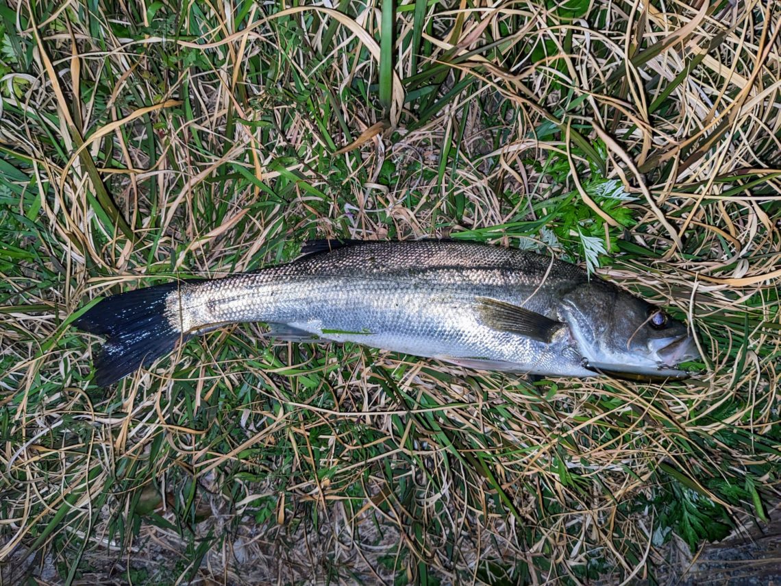 PXL_20230412_163955897