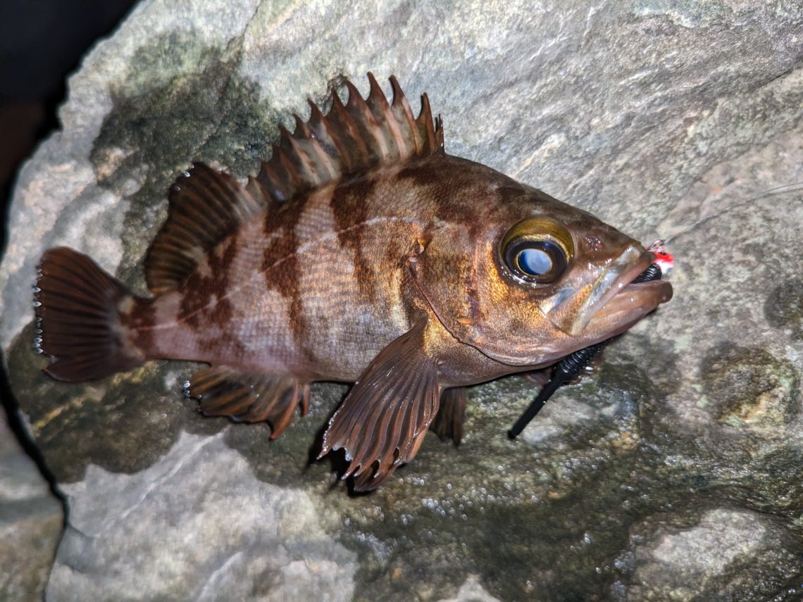 PXL_20230413_153644274