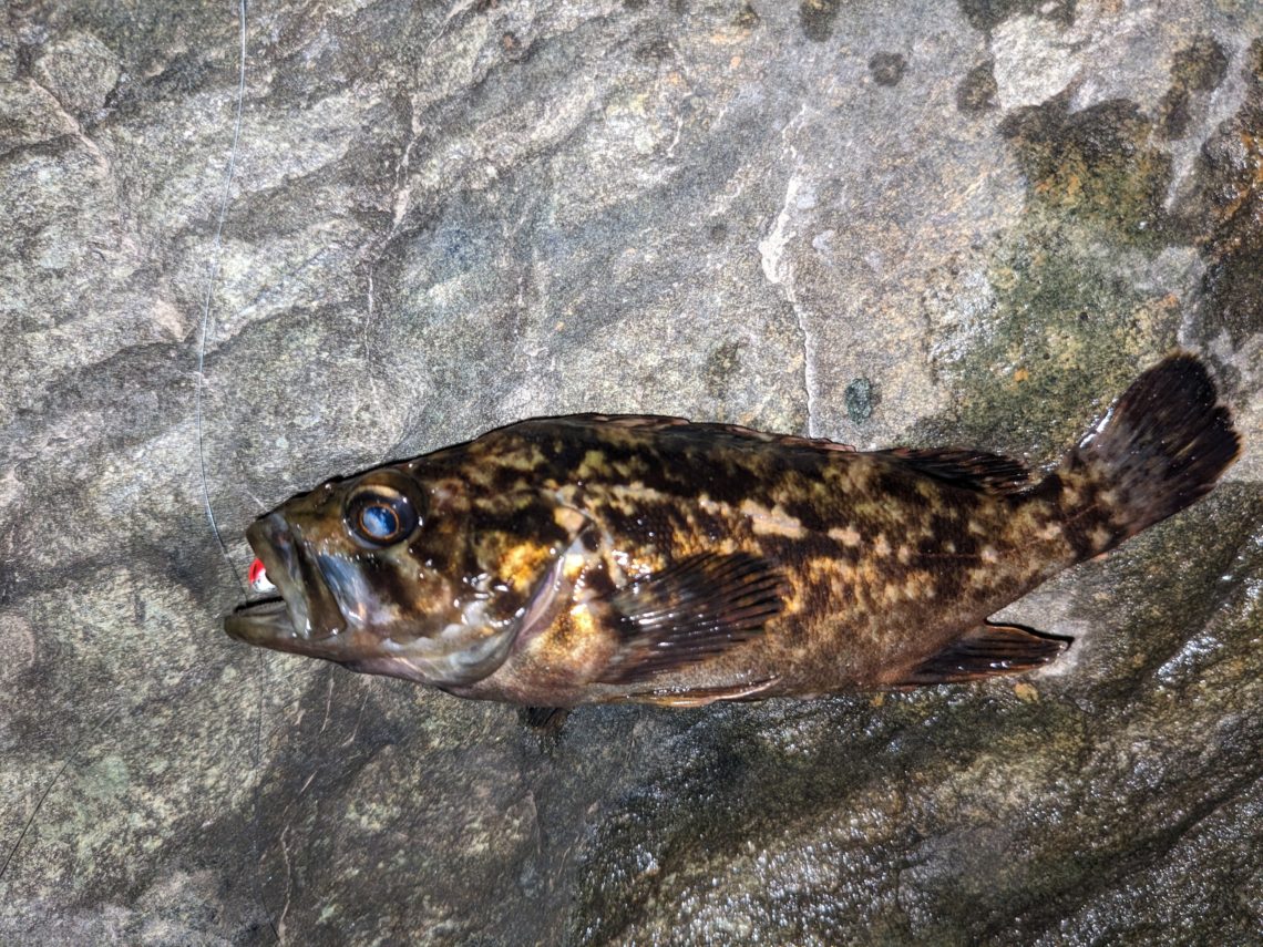 PXL_20230413_155731224