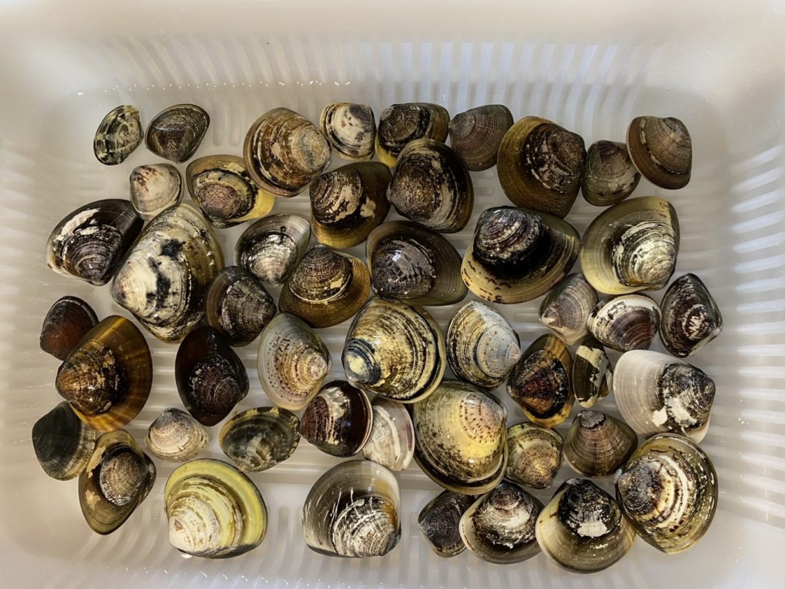 ZLgCRmvUCmHguTqS6QsmV3-3GlmF9n_L3bsOS_xkR8JEzWLi1BXszpuqnEYv9VpiOV4NlMU1UP5COza2oSZ9-T1QeHGnMD_lpUHNa-uB9t50XOMK3OaOG9Tk2YTZ-Qtn