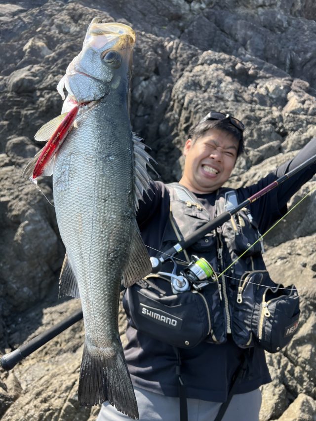 2D06B81D-1CE7-4F27-9084-7C48922CCE40