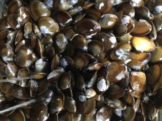 72557D03-BB6E-4263-98C3-BB6CB2F67541