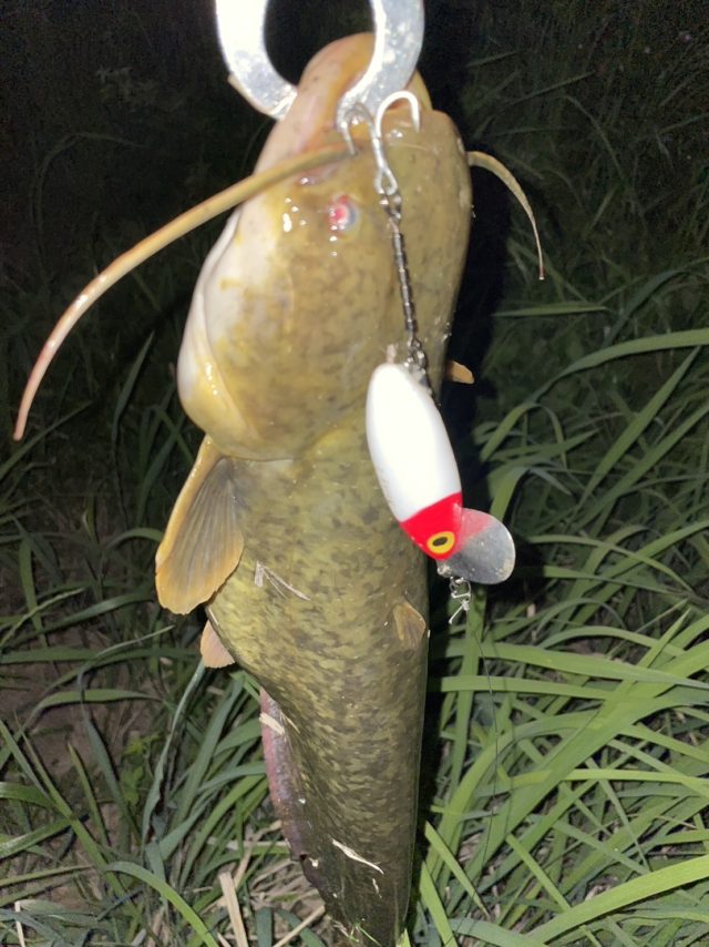 83D4D943-B80D-4EAE-8E31-55D8AEF92F4F