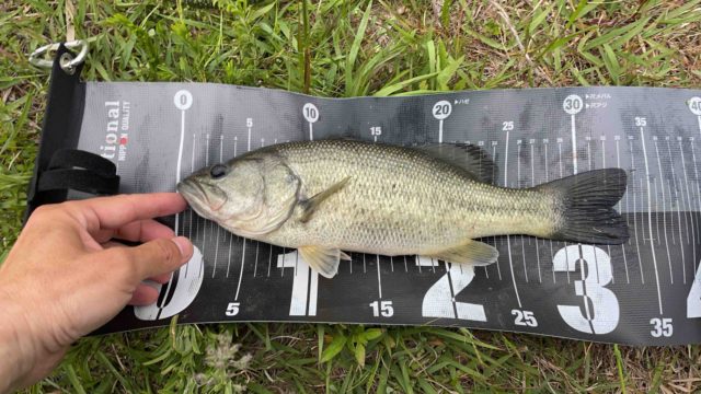 9e5483d2-b871-4548-9d2e-becaed1722b2