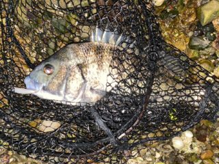 A459CDC0-C61C-4DA1-91A4-B0575E757EBF