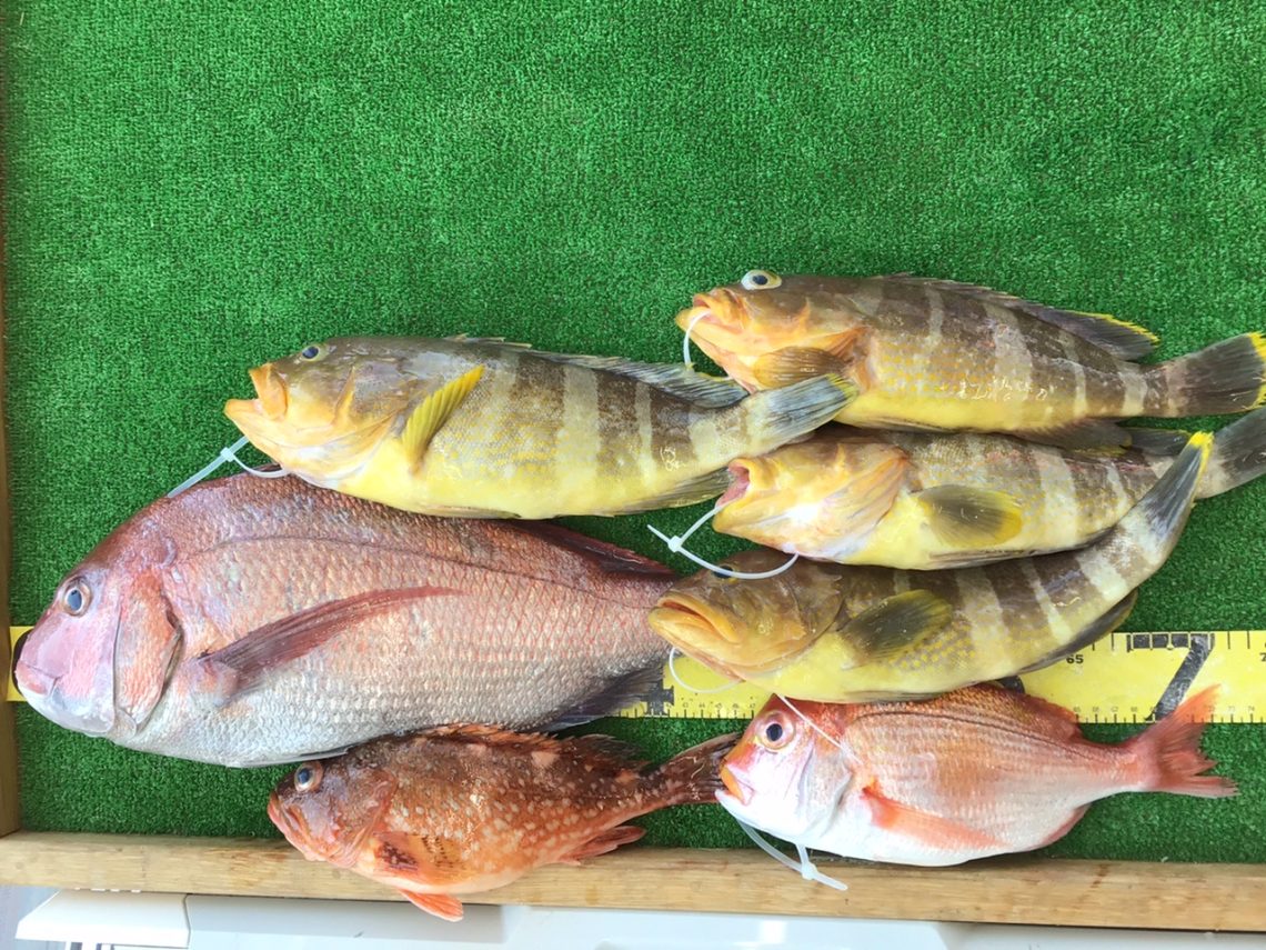 C64E7EC8-95BE-4989-BB67-DD956FA15F51