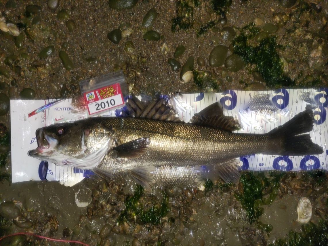 D41EAE37-C07F-4A40-BFB2-44BB98C0C680