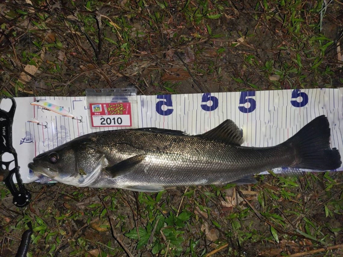 D5D0D3D6-DF52-4E48-8870-E03DF629B12C