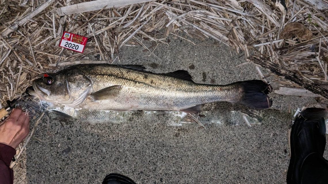 EBDE2449-A6A6-4A82-A37C-91B30EACD843